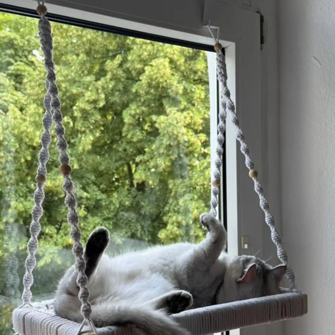 Makramee-Katzenhängematte.