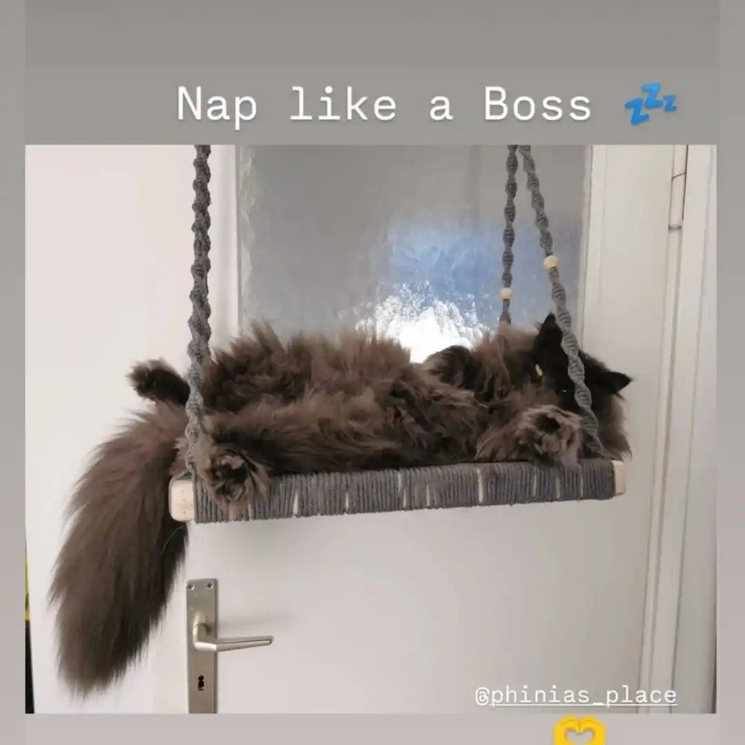 Zottige Katze schläft auf einer Makrame-Schaukel.