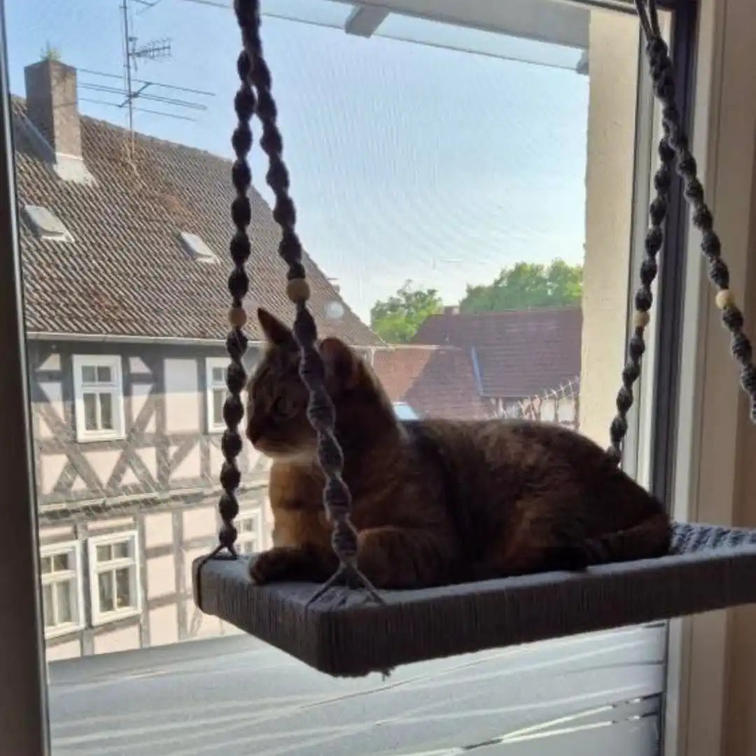 Katze auf einem hängenden Schaukelbett.