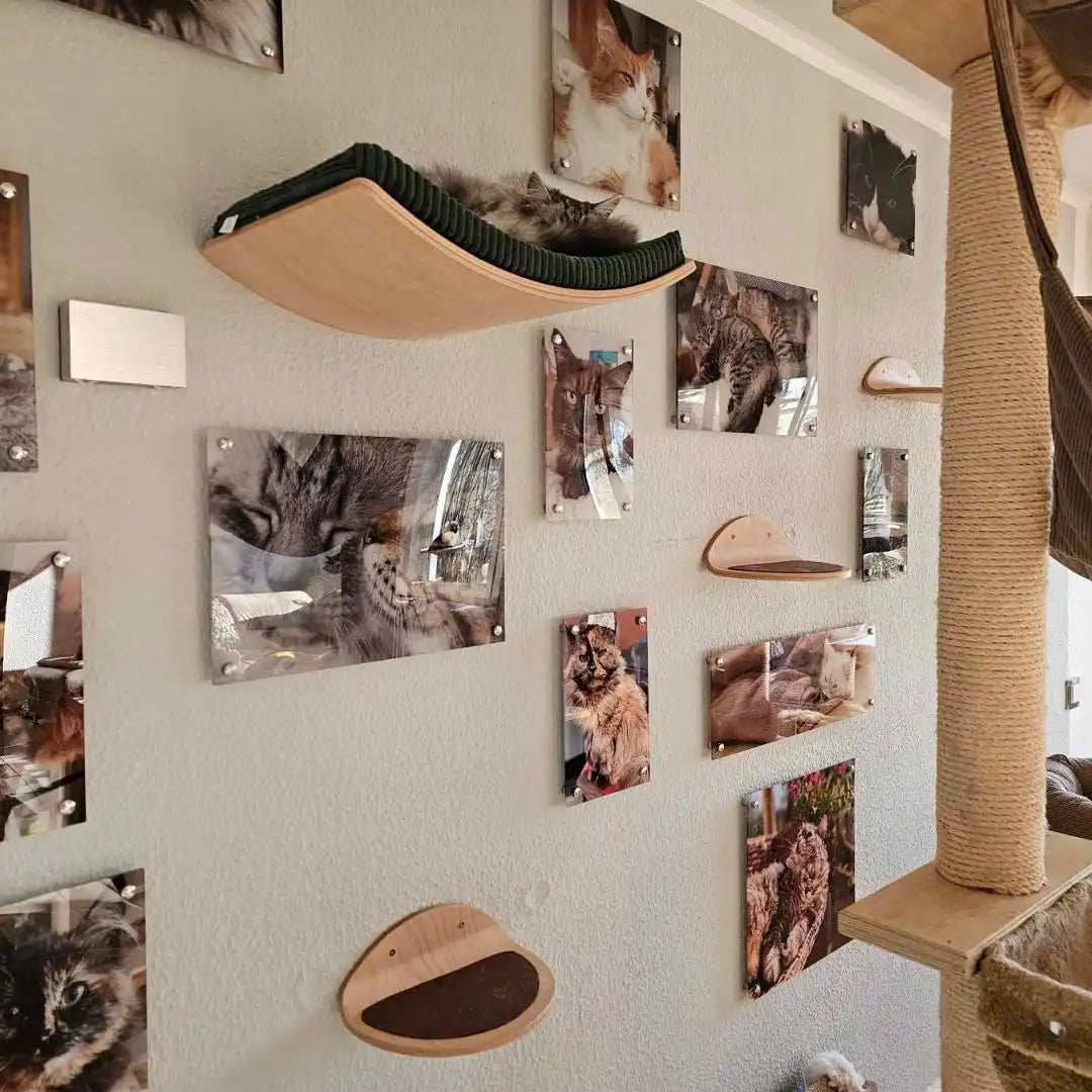 Katzen-Wanddekoration.