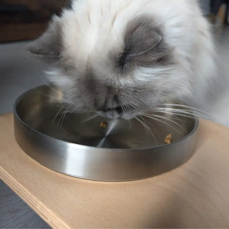 Silberne Katzenfutterschüssel.