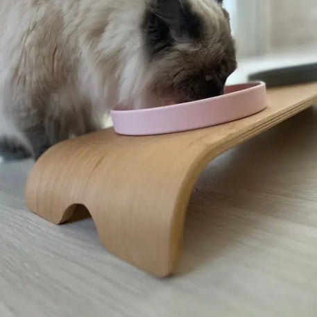 Ragdoll-Katze frisst aus einem rosa Napf auf einem Holzständer.