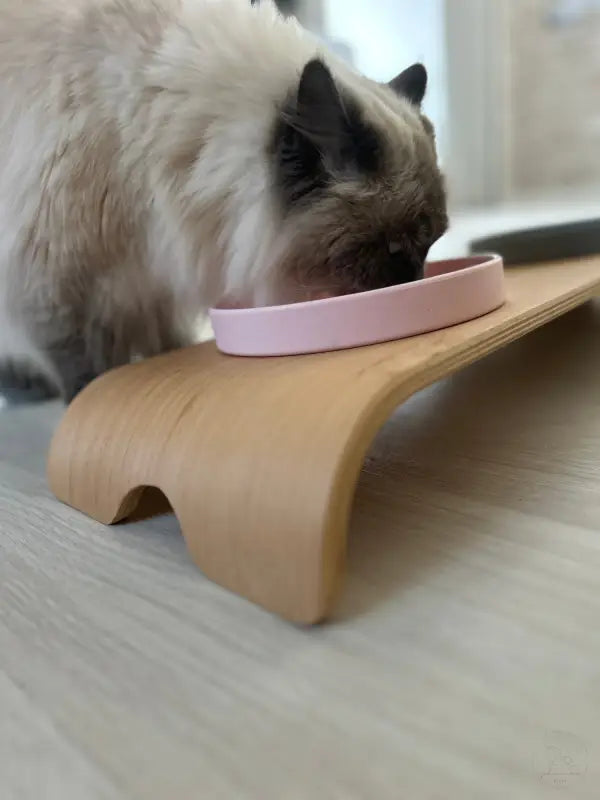 Ragdoll-Katze frisst aus einem rosa Napf auf einem Holzständer.