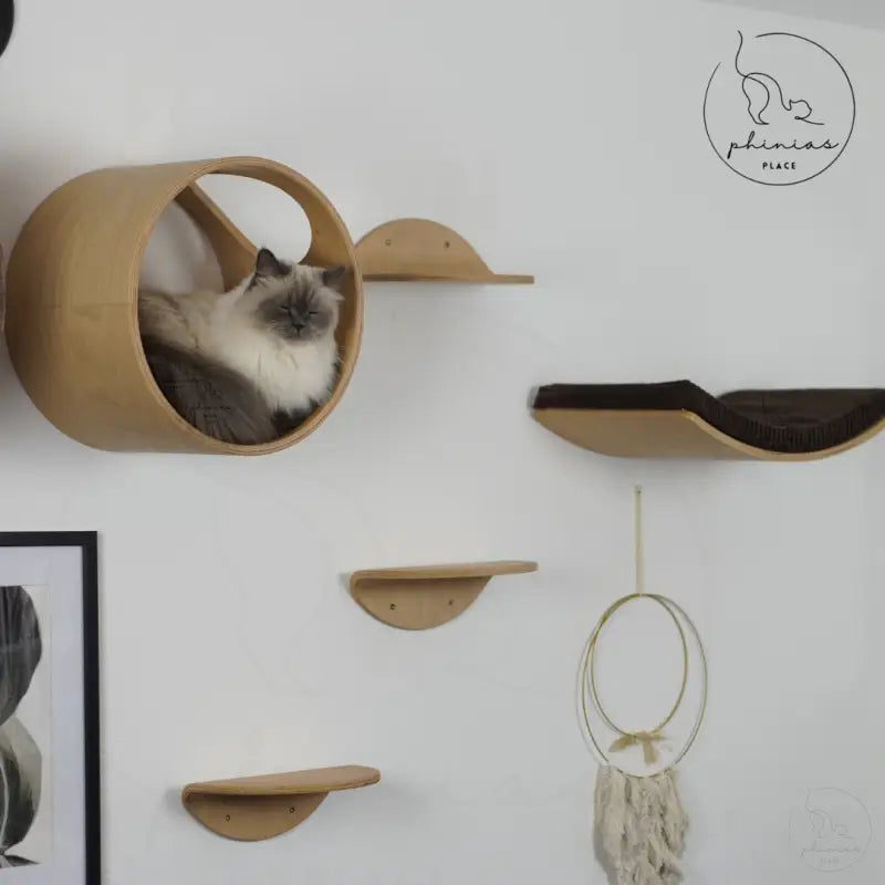 Wall-mounted cat furniture Phinias gebogene Katzenliege mit schwebendem Design Phinia