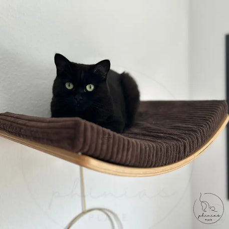 Schwarze Katze auf braunem Cordregal der Phinias gebogenen Katzenliege im schwebendem Design
